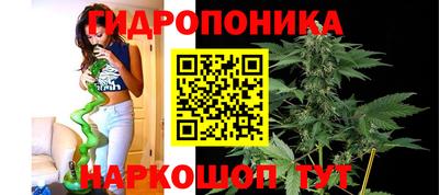 индика Беслан