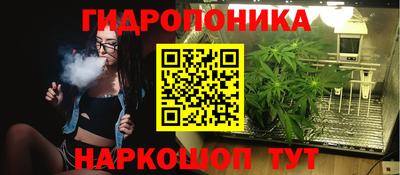 стаф Балаково