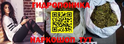 индика Беслан