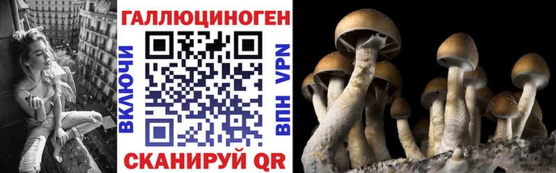Галлюциногенные грибы Cubensis Боровичи