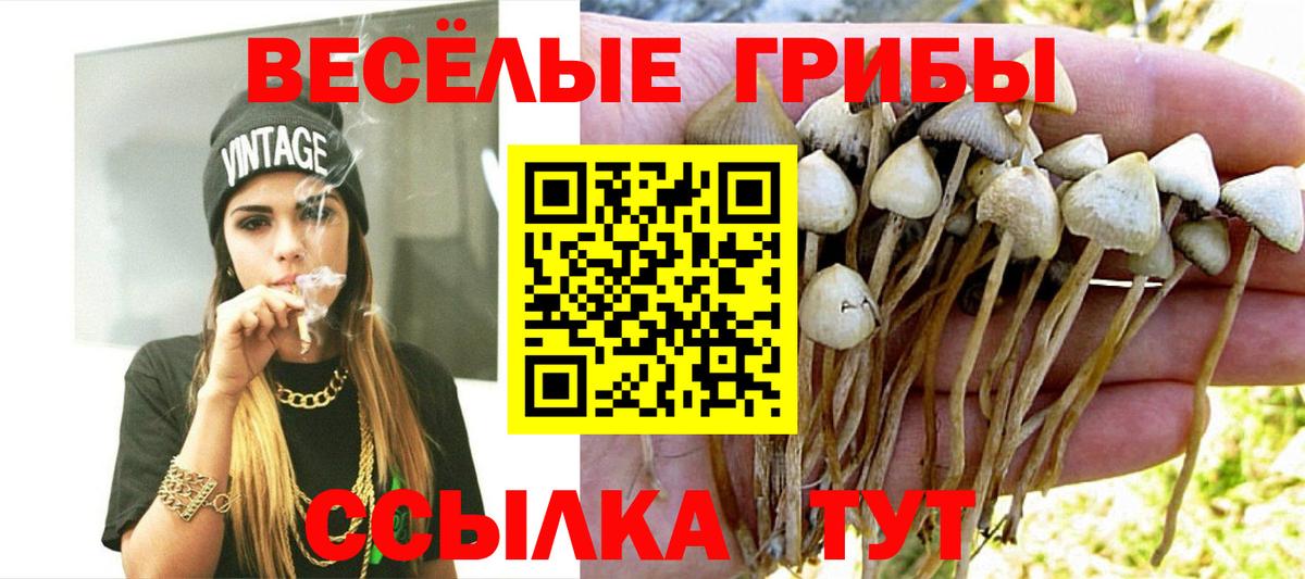 Псилоцибиновые грибы прущие грибы Боровичи