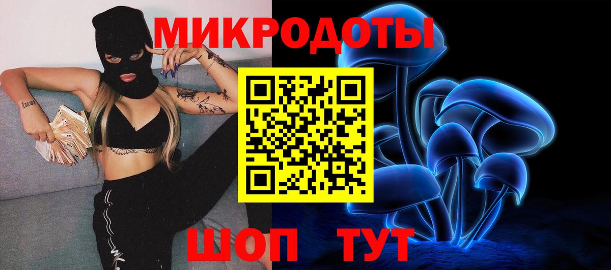 Галлюциногенные грибы Psilocybe Боровичи