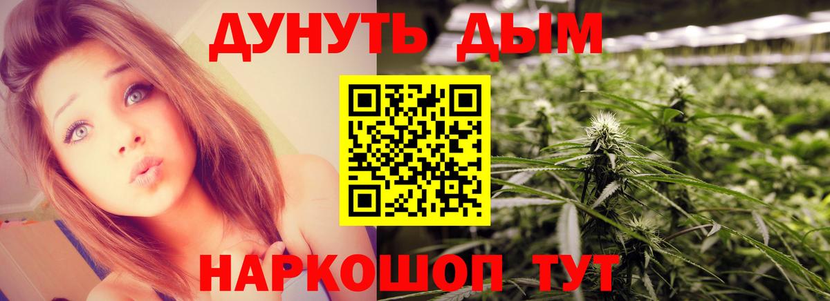 Шишки марихуана Bruce Banner  Шишки марихуана планчик  Вход с VPN  Боровичи 